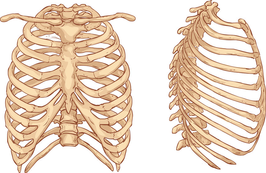 Causes of Rib Sprains